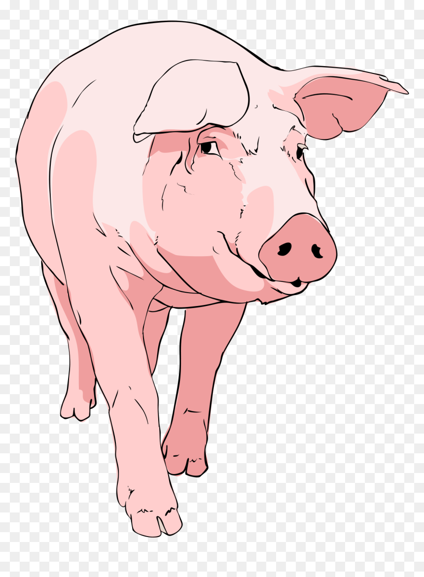 File Pig Clipart Svg Wikimediamons - Pig Clipart, HD Png Download - pig emoji png