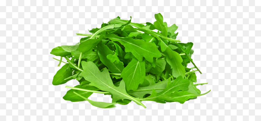 Arugula With White Background, HD Png Download - vegetable plant png