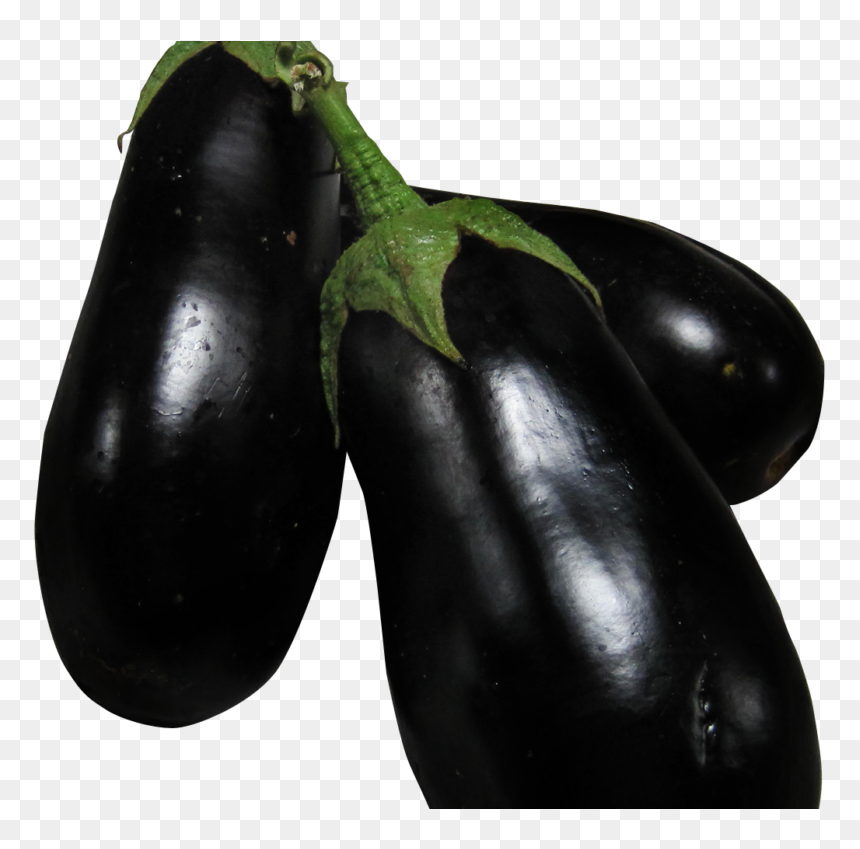 Brinjal Png, Transparent Png - vegetable plant png