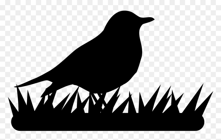 Perching Bird, HD Png Download - robin bird png
