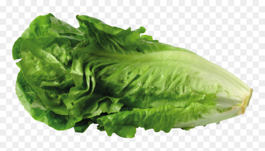 Greek Salad Lettuce Sandwich Clip Art Portable Network - Transparent Background Lettuce Transparent, HD Png Download - collard greens png