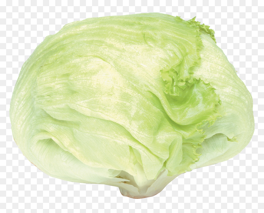 Lettuce Iceberg Png, Transparent Png - collard greens png