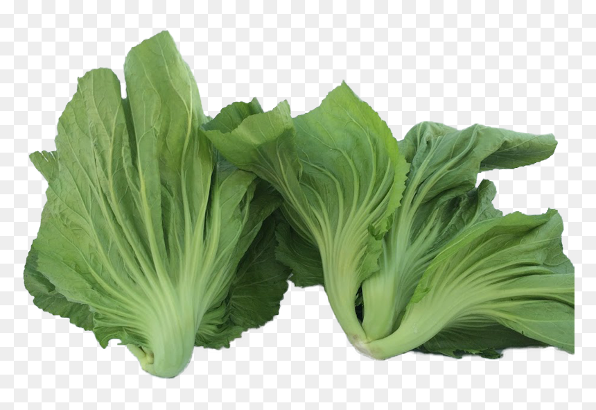 Gai Choy Farm Png, Transparent Png - collard greens png