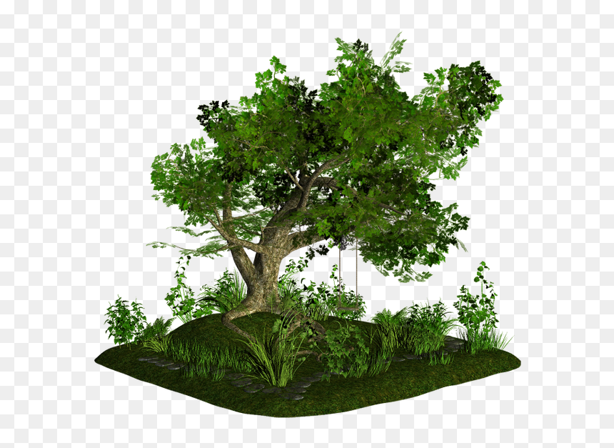 Bonsai Tree Flowerpot - Grass, HD Png Download - bonsai png