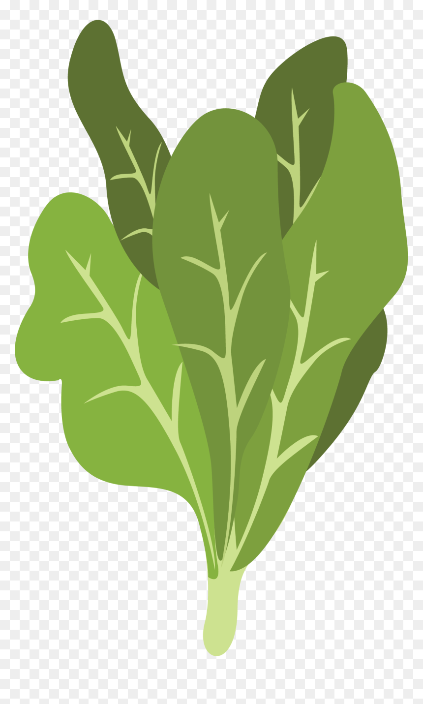Chard, HD Png Download - collard greens png