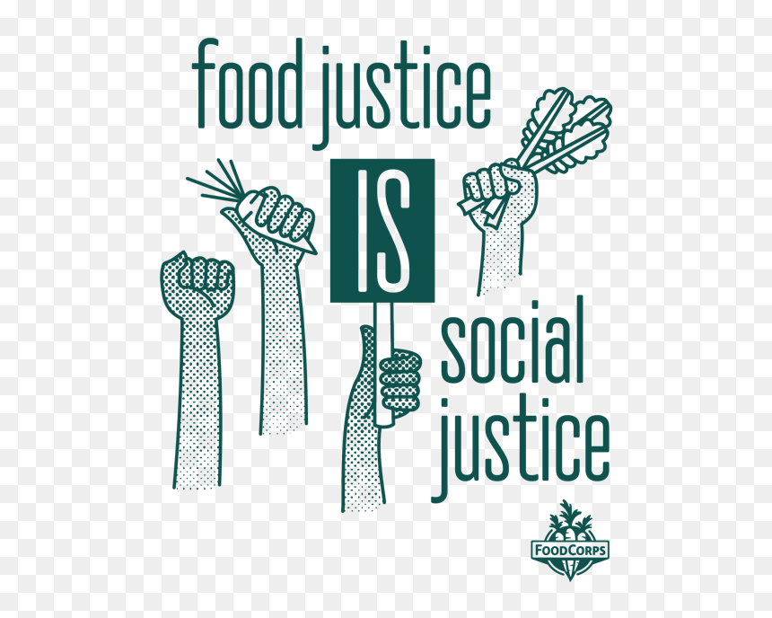 Illustration, HD Png Download - collard greens png