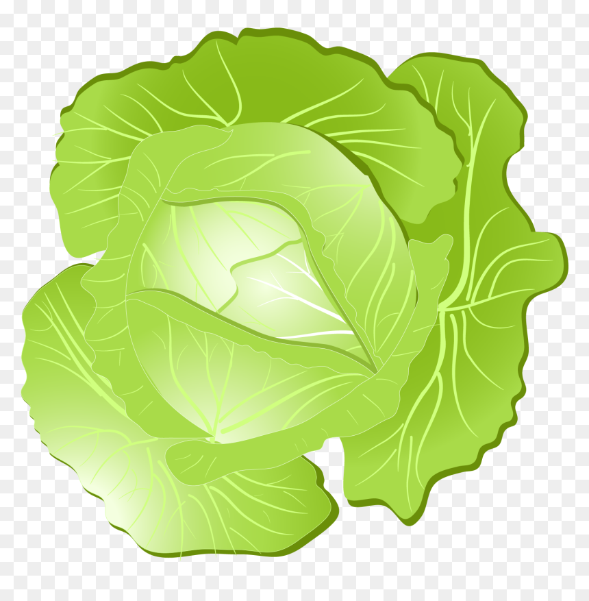 Collard Greens, HD Png Download - collard greens png