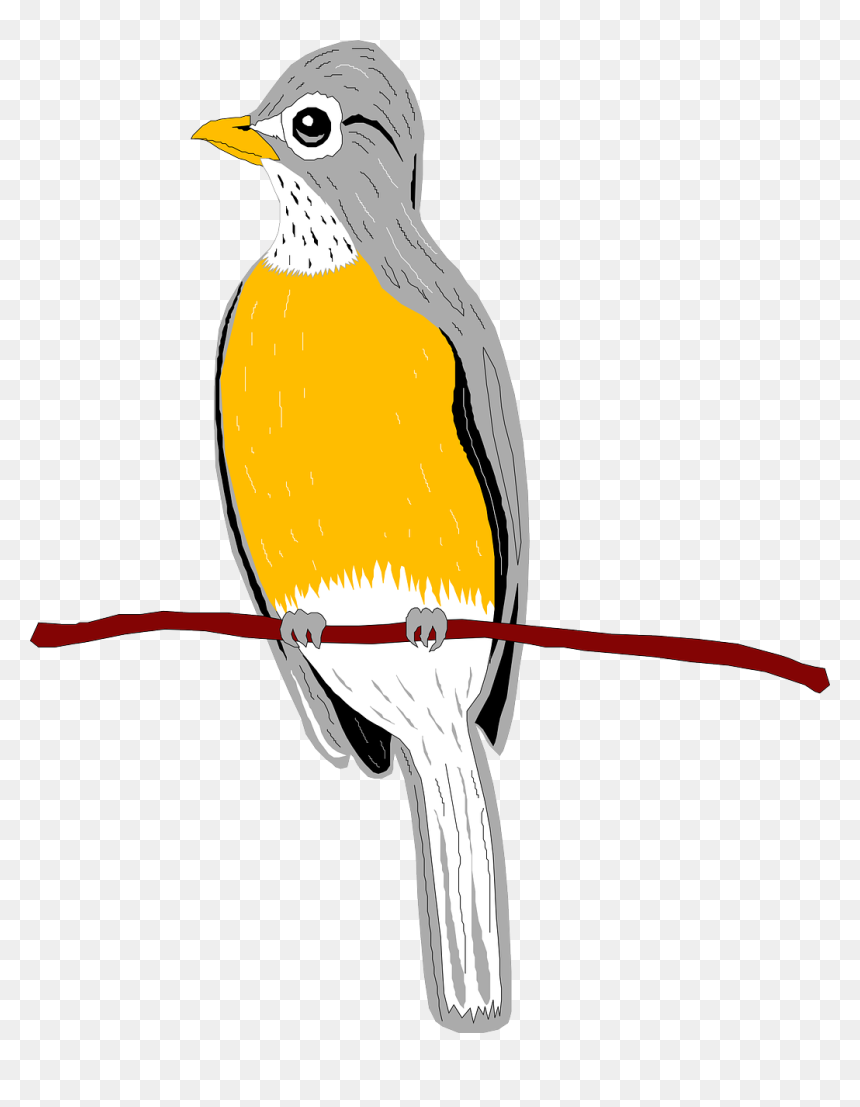 นก เกาะ Png, Transparent Png - robin bird png
