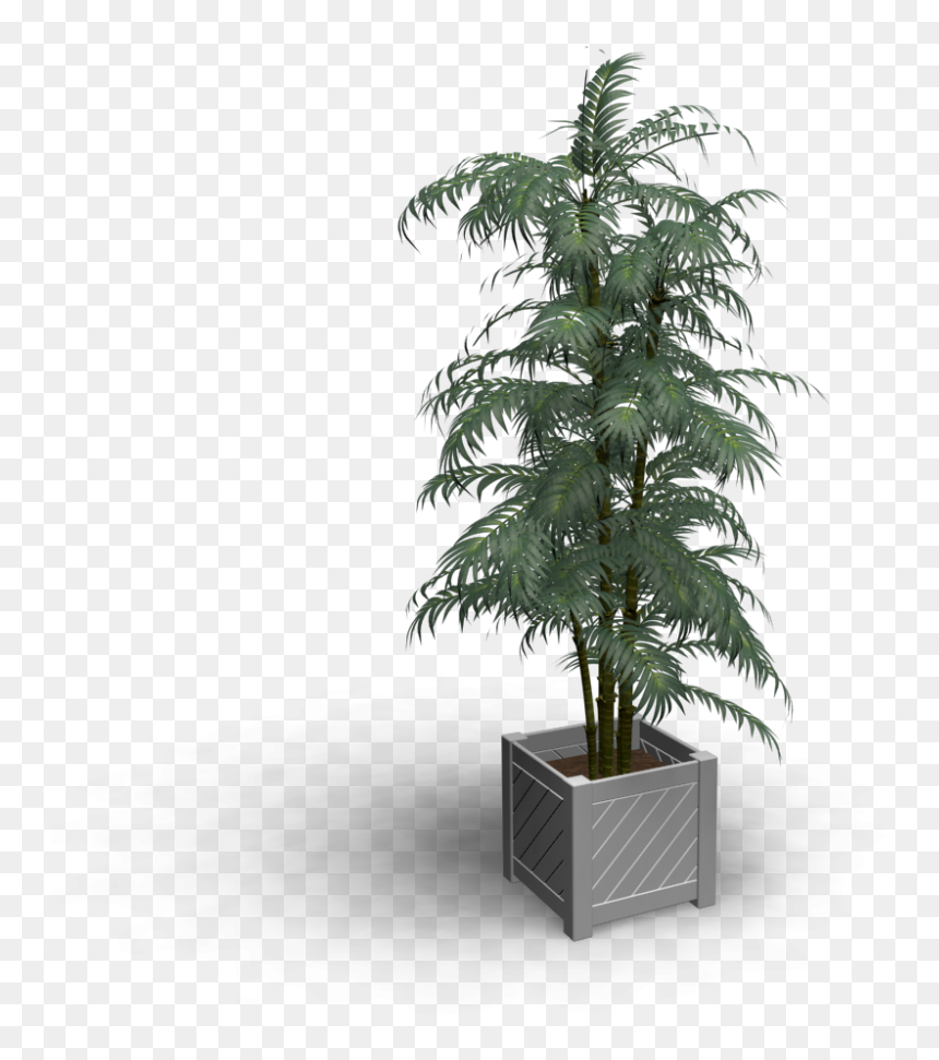 Bonsai , Png Download - Fabric Stain Remover, Transparent Png - bonsai png