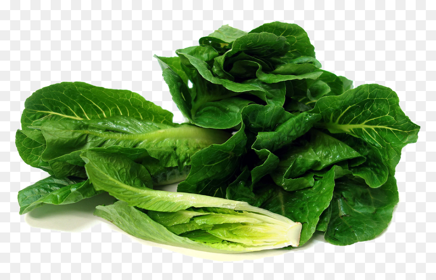 Romaine Lettuce Transparent Image - Romaine Lettuce Png, Png Download - collard greens png