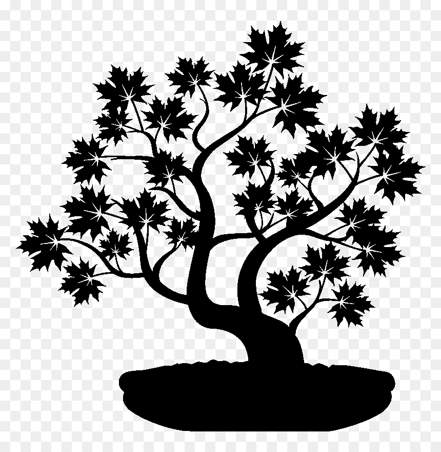 Bonsai, HD Png Download - bonsai png