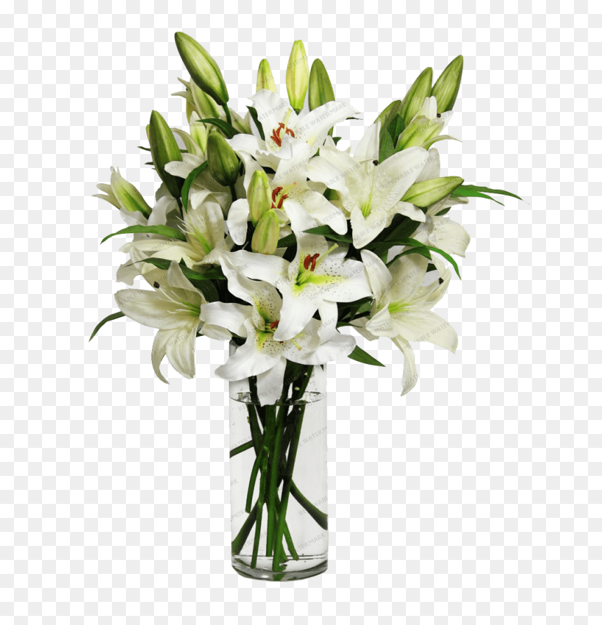 Flower,flowering Plant,lily,cut Flower,flower Arranging,stargazer - Flowers In A Vase Png, Transparent Png - gladiolus png