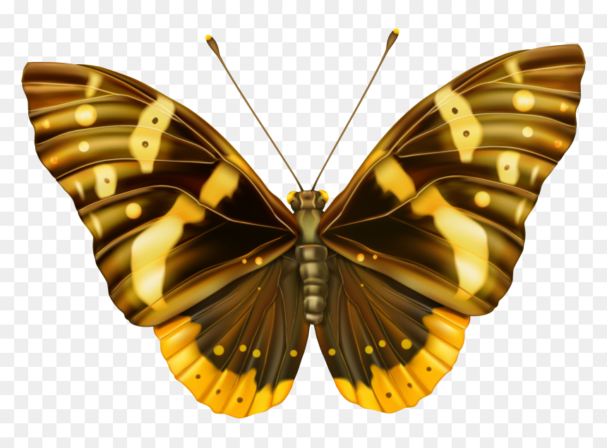 Yellow Butterfly Png - Butterfly Brown Png, Transparent Png - butterfly wing png