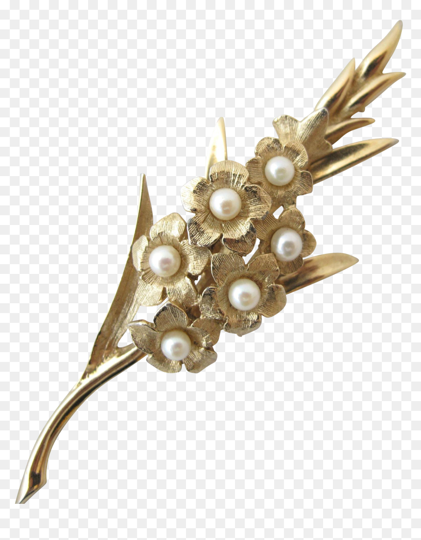 Gladioli Brooch, HD Png Download - gladiolus png