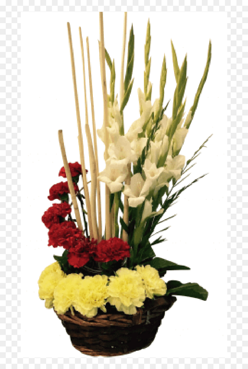Carnation Flowers Arrangements - Carnation Flower Arrangement, HD Png Download - gladiolus png