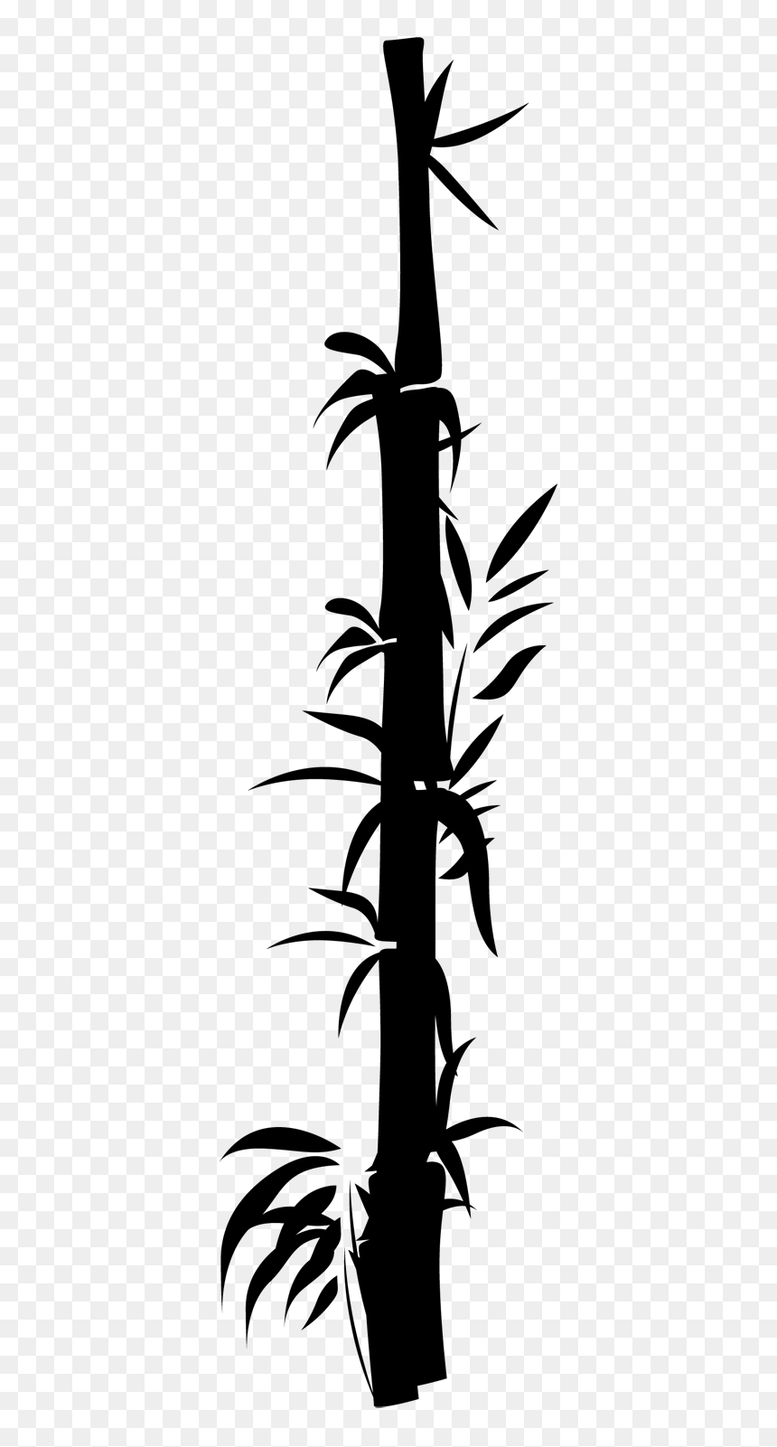 Oriental Bamboo Decal, HD Png Download - bamboo border png