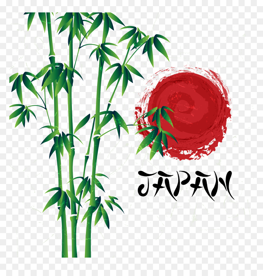 Bamboo Vector Illustrator - Adobe Illustrator, HD Png Download - bamboo border png