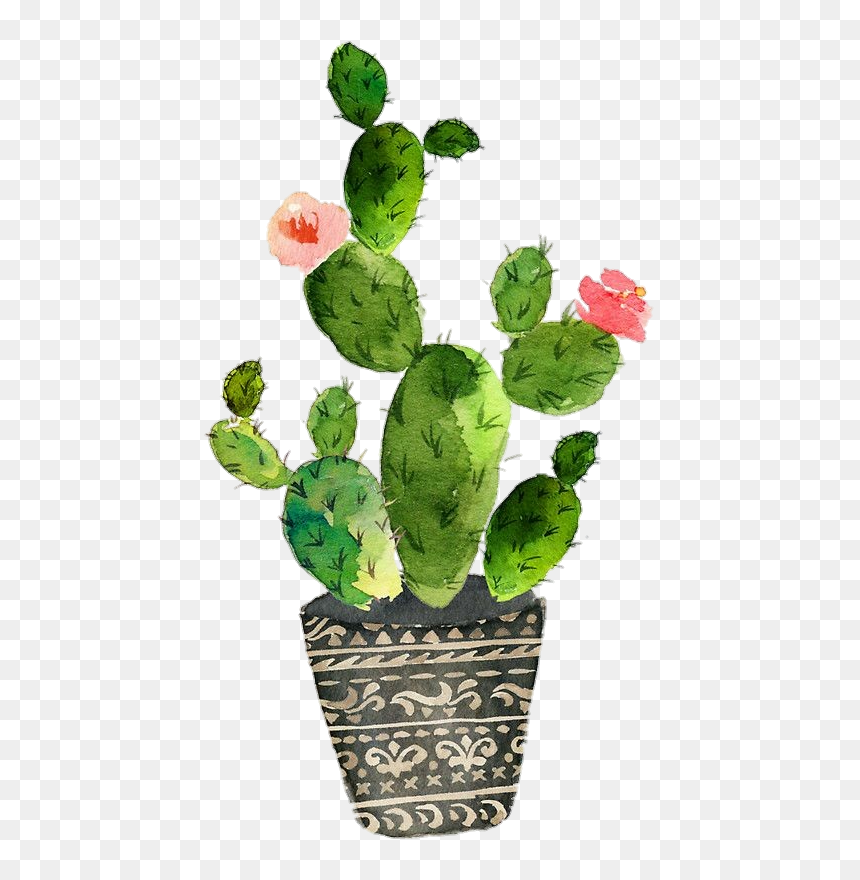 Image - Cactus Watercolor Clip Art, HD Png Download - cactus png tumblr