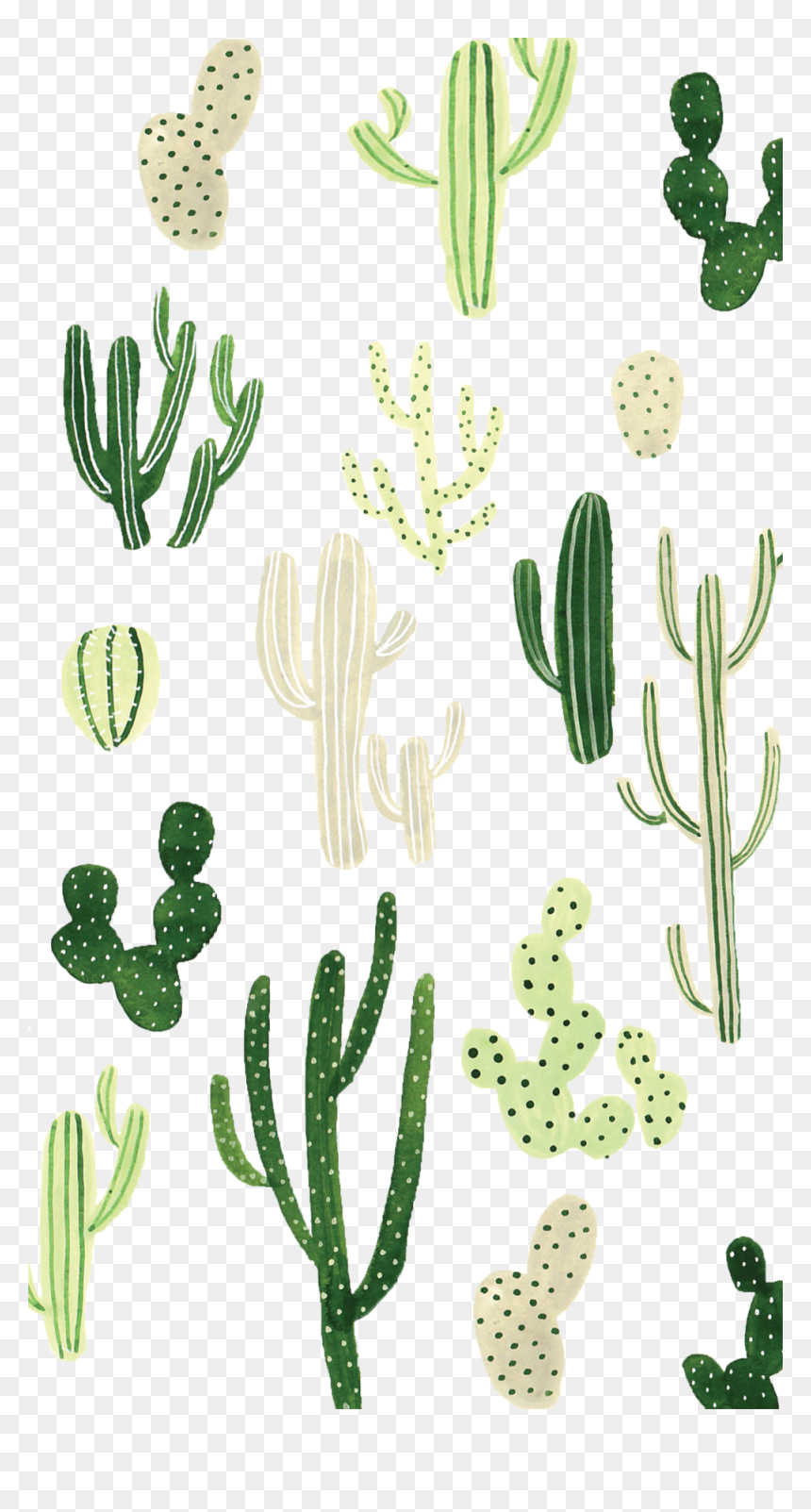 Cactus Background, HD Png Download - cactus png tumblr
