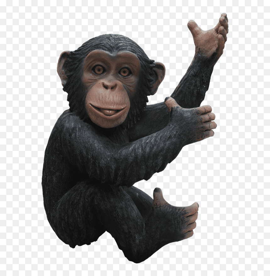 Plastic Monkey Life Size, HD Png Download - chimpanzee png