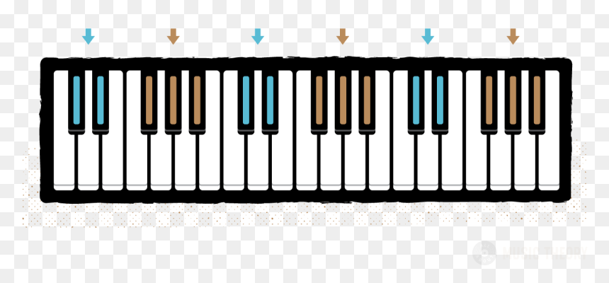 Clip Art Layout Of The Keyboard - Diagram Of Octave Piano, HD Png Download - piano clipart png