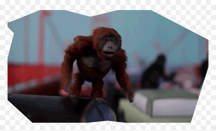 Common Chimpanzee, HD Png Download - chimpanzee png