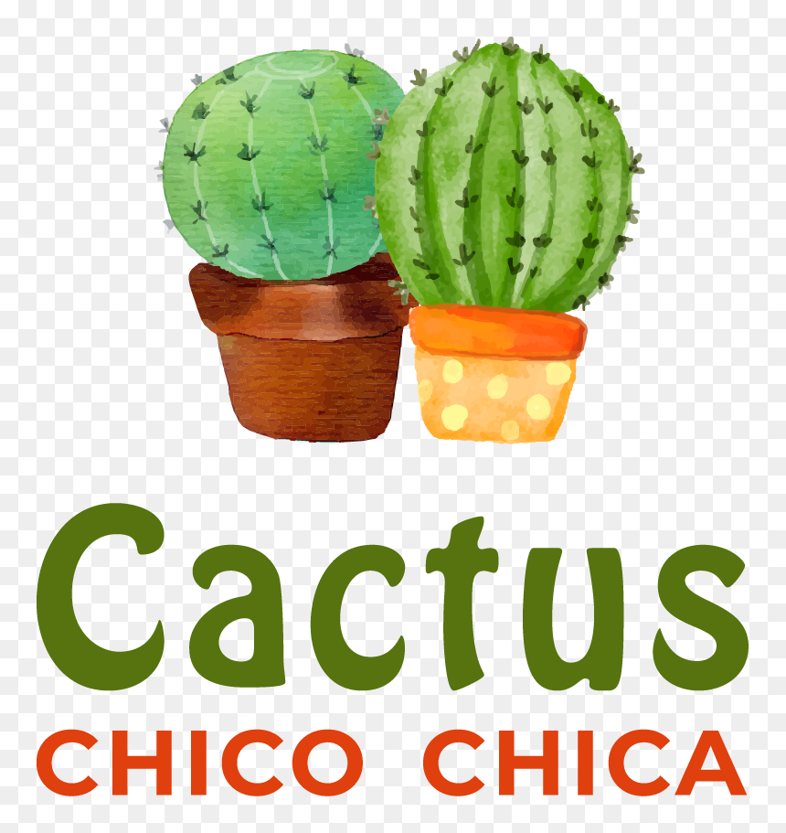 Affordable - Quirky - Sweet - Fun - Decorative - Practical - Cactus, HD Png Download - cactus png tumblr
