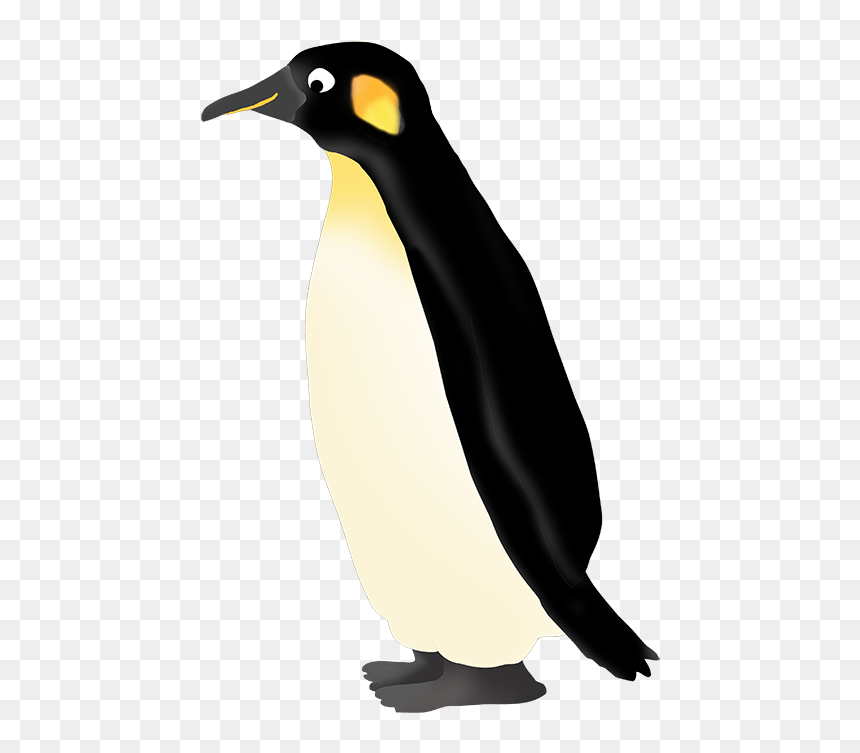 Transparent Emperor Png - King Penguin, Png Download - penguin clipart png