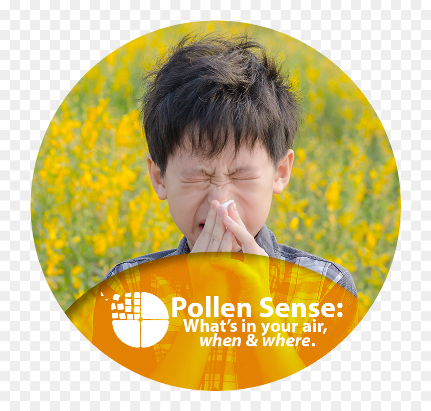 What"s In Your Air, When And Where - Queensland Spring, HD Png Download - pollen png