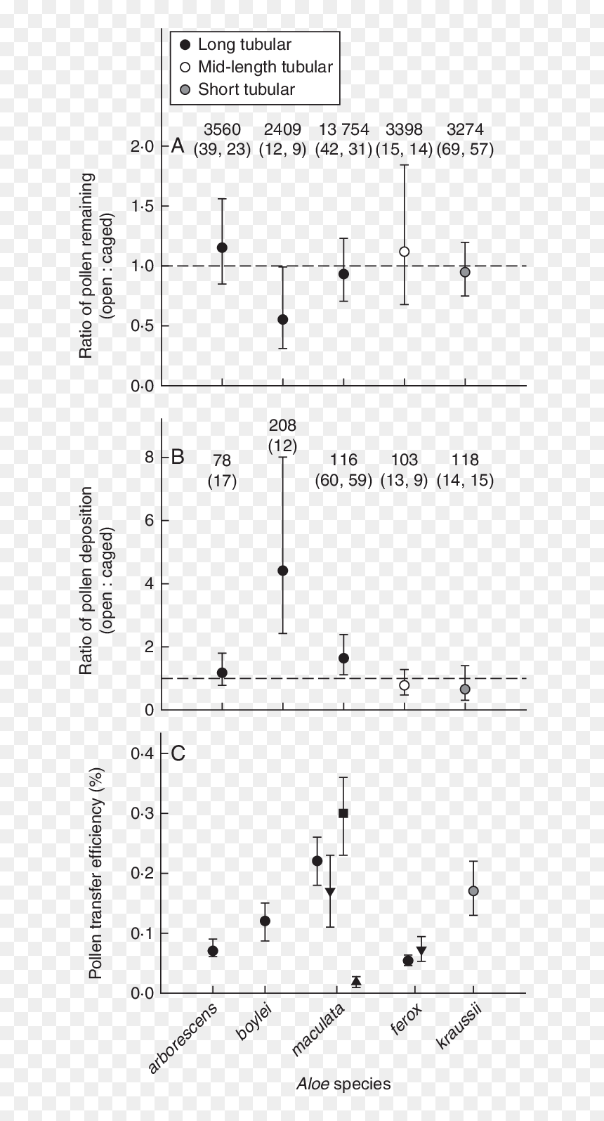 Diagram, HD Png Download - pollen png