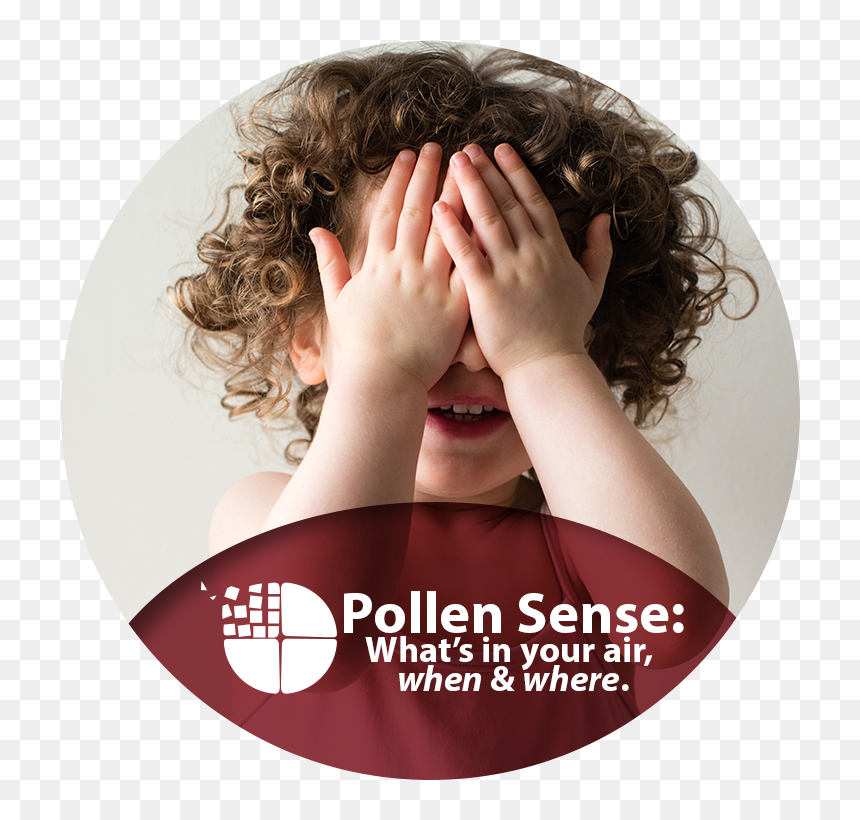 What"s In Your Air, When And Where - Peekaboo Girl, HD Png Download - pollen png