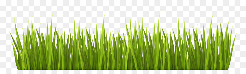 Spring Png Transparent Clip - Transparent Grass Png Clipart, Png Download - blade of grass png