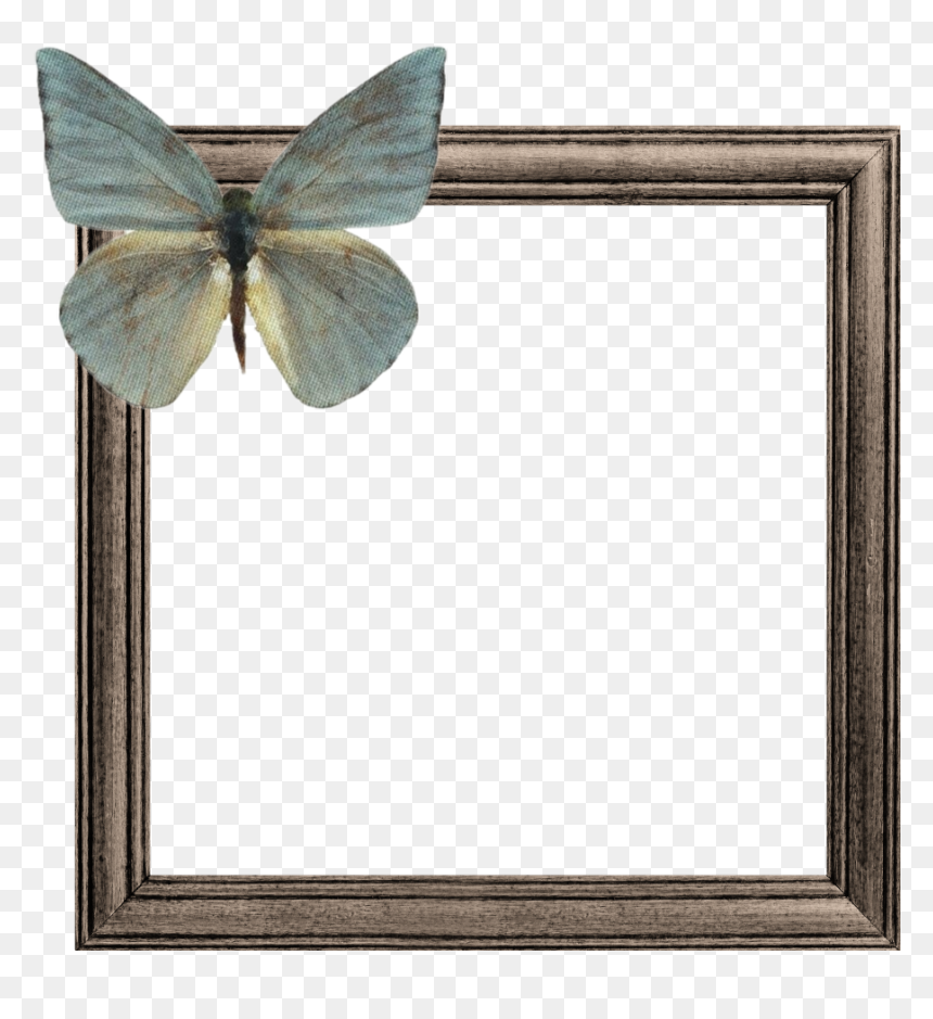 #wooden #frame #frames #butterfly #brown #green #border - Picture Frame, HD Png Download - wooden frames png