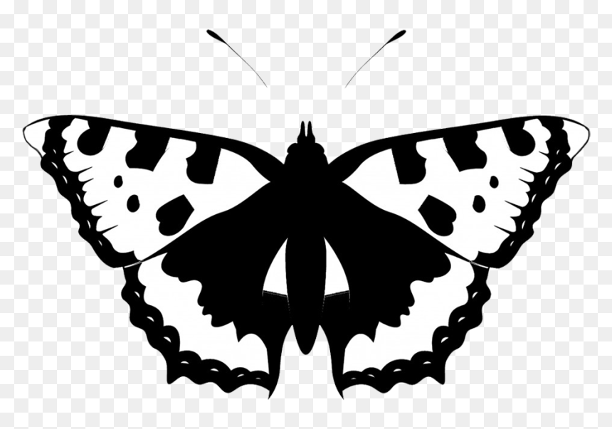 Black White Butterfly Silhouette - Black Silhouette Butterfly Png, Transparent Png - white butterfly png