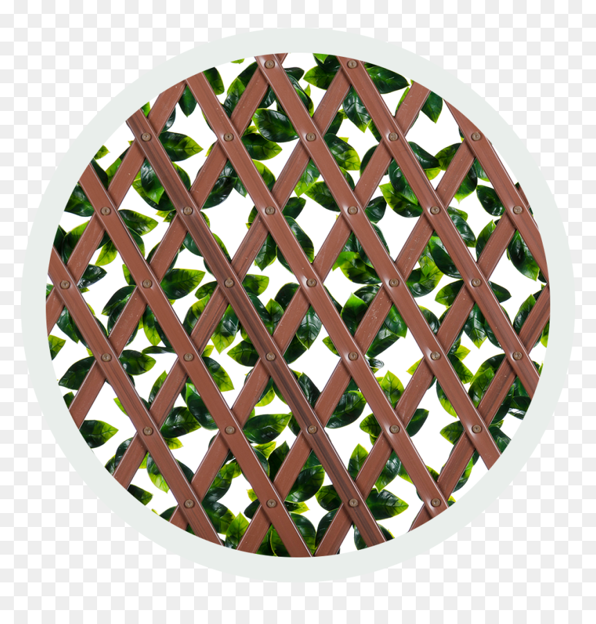 Circle, HD Png Download - lattice png