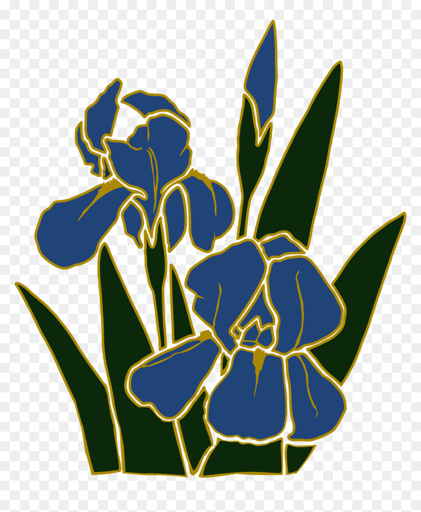ดอกไม้ กราฟฟิก 3 มิติ, HD Png Download - flower garden png
