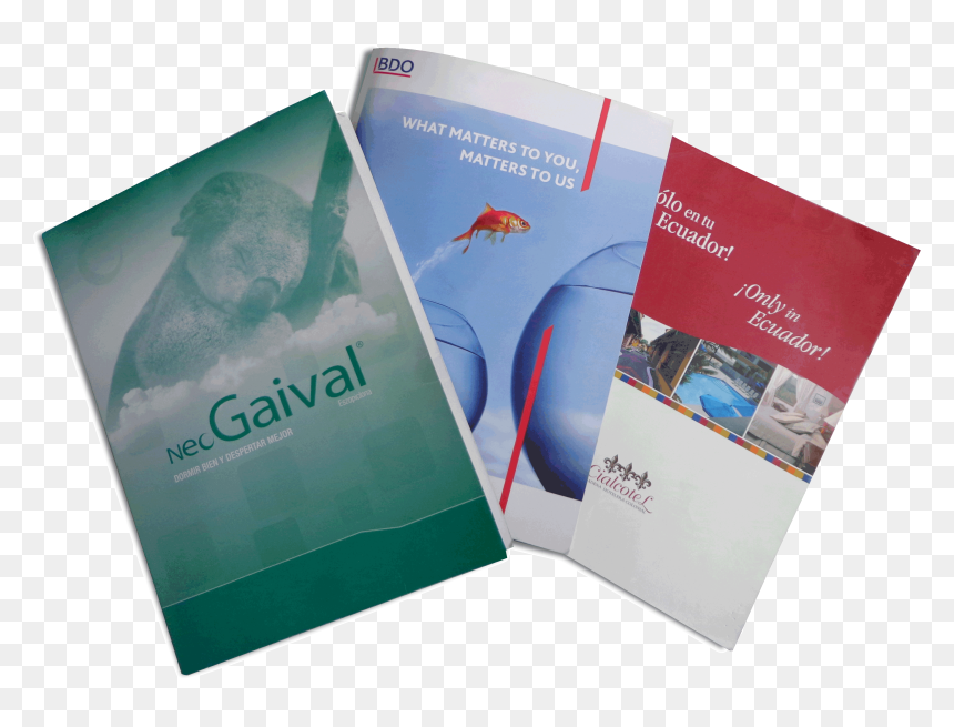 Diseño Carpetas Corporativas - Flyer, HD Png Download - carpetas png