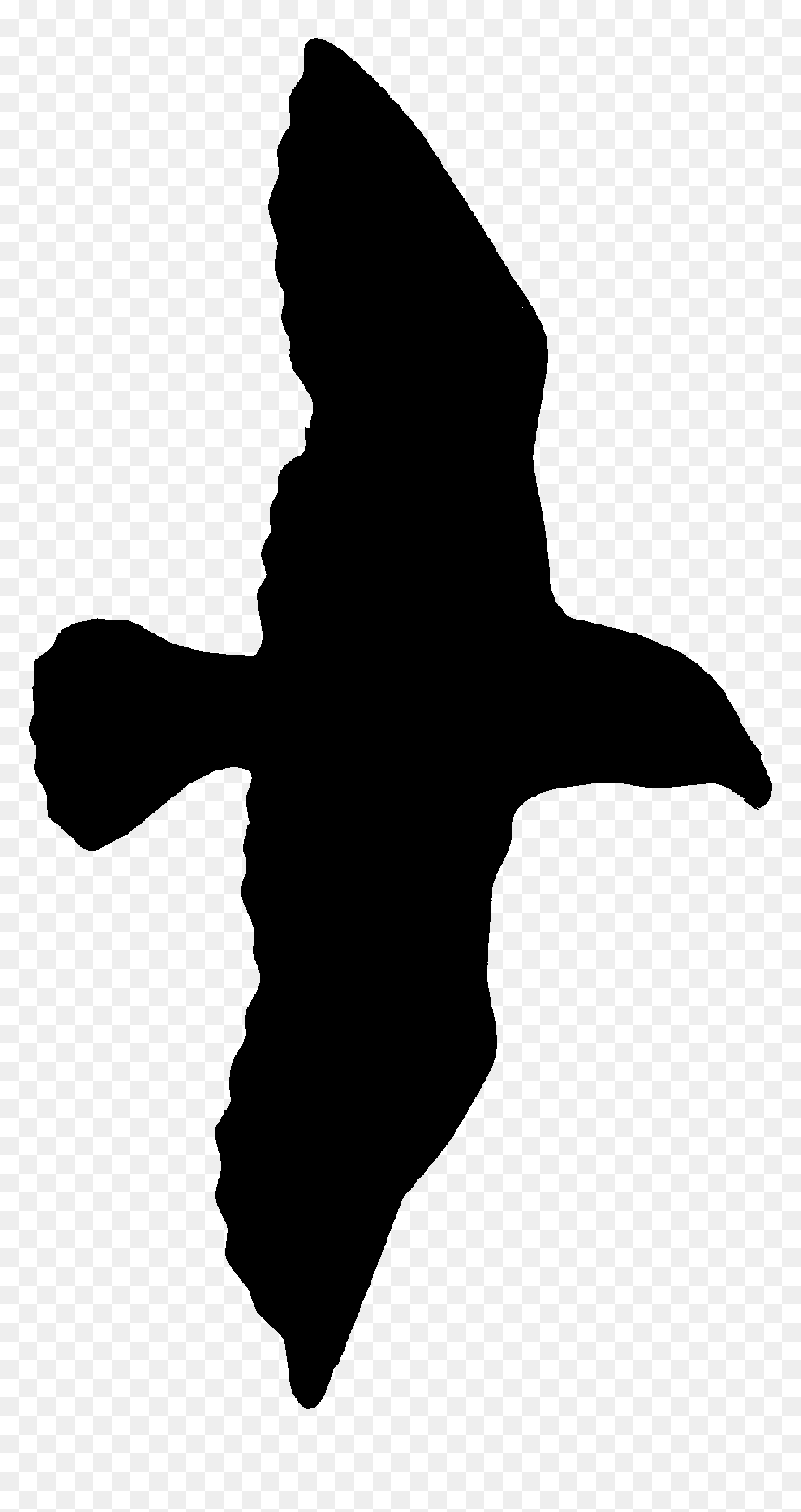 Sea Gull Clip Art Medium Size - Fish, HD Png Download - jesus silhouette png