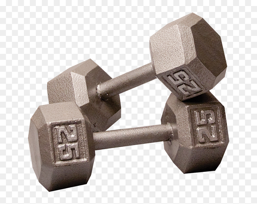 Dumbbell - Hantel - 55 Lb Dumbbells, HD Png Download - dumbbell icon png
