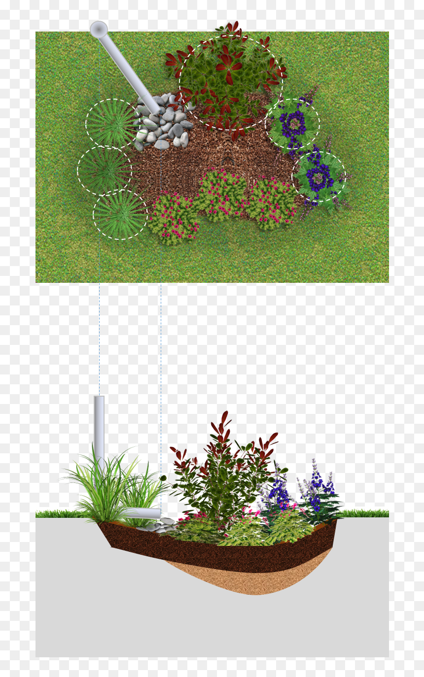 Rain Garden Png, Transparent Png - flower garden png