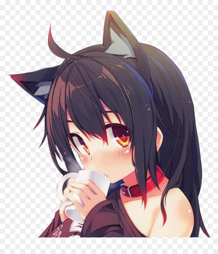 Neko Girl Png - Neko Girl Anime Kawaii, Transparent Png - neko girl png