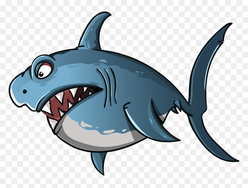 Shark, Cartoon, Fish, Predator, Sea, Stylized, Teeth - Shark Animated Png, Transparent Png - cartoon shark png