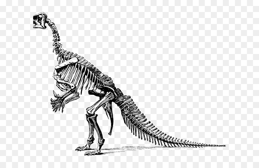 Velociraptor Clipart Cute Dinosaur - Dinosaurs Didn T Read Now They Re Extinct Poster, HD Png Download - cute dinosaur png