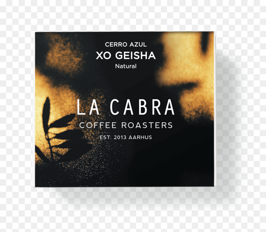 Xo Geisha 150g - Poster, HD Png Download - xo png