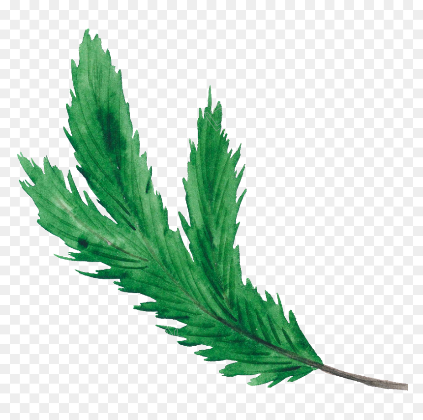 Christmas Leaf Png Green Christmas Leaf Christmas Transparent - Transparent Leaf Vector Png, Png Download - christmas vector png