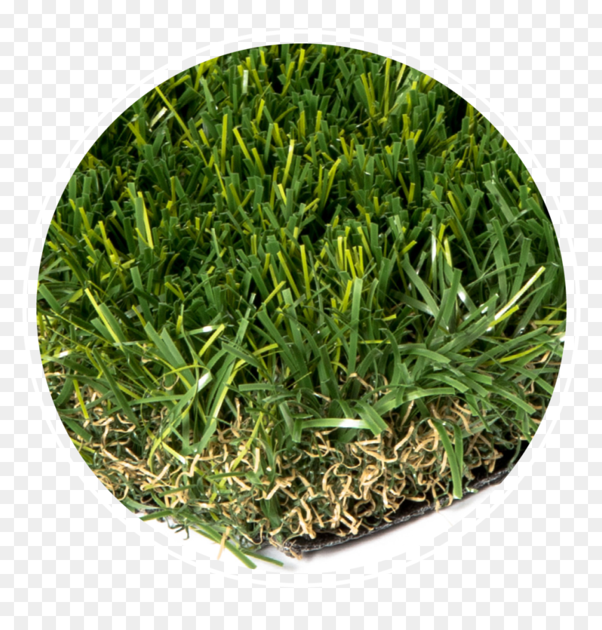 Everblade - Artificial Turf, HD Png Download - blades of grass png