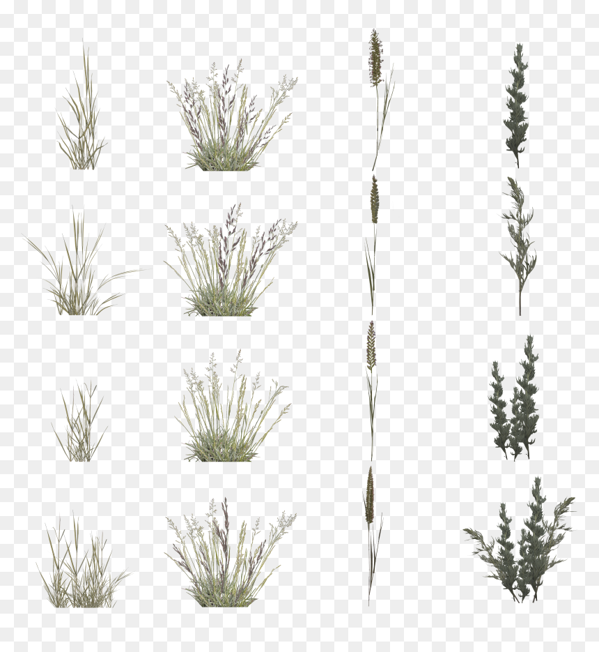 Grass, HD Png Download - blades of grass png