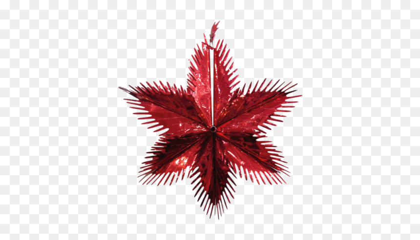 Picture 2 Of - Ciclo De Procuracion De Fondos, HD Png Download - red starburst png