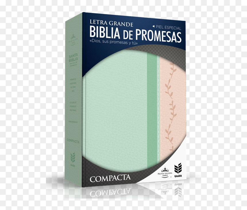 Transparent Libro Abierto Con Letras Png - Biblia De Promesas Compacta, Png Download - biblia abierta png