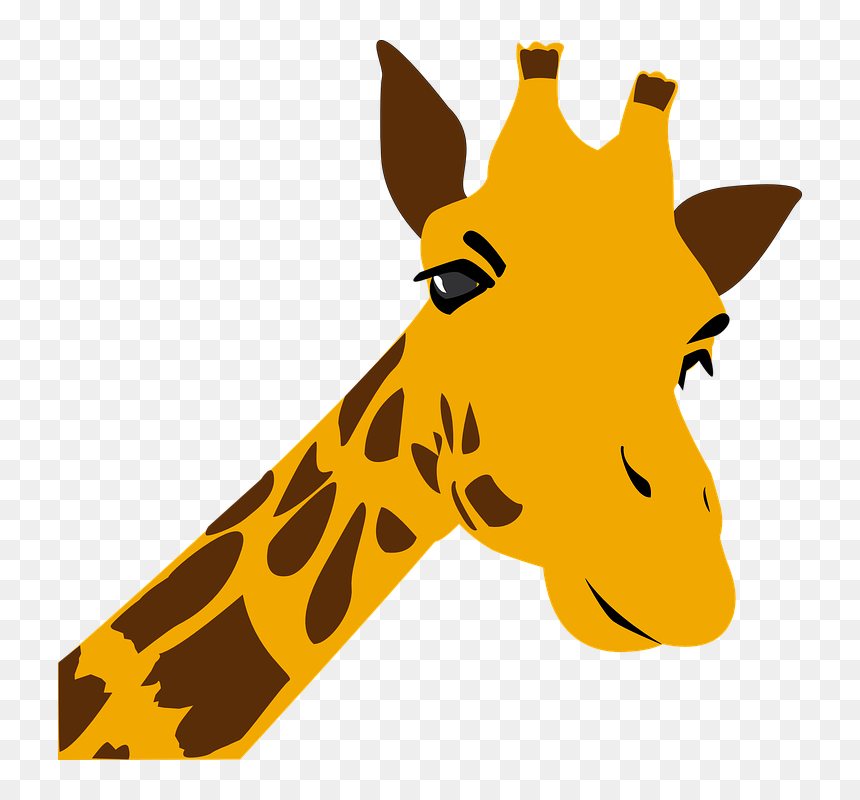 Giraffe Clipart Zoo - Giraffe Graphic, HD Png Download - giraffe clipart png
